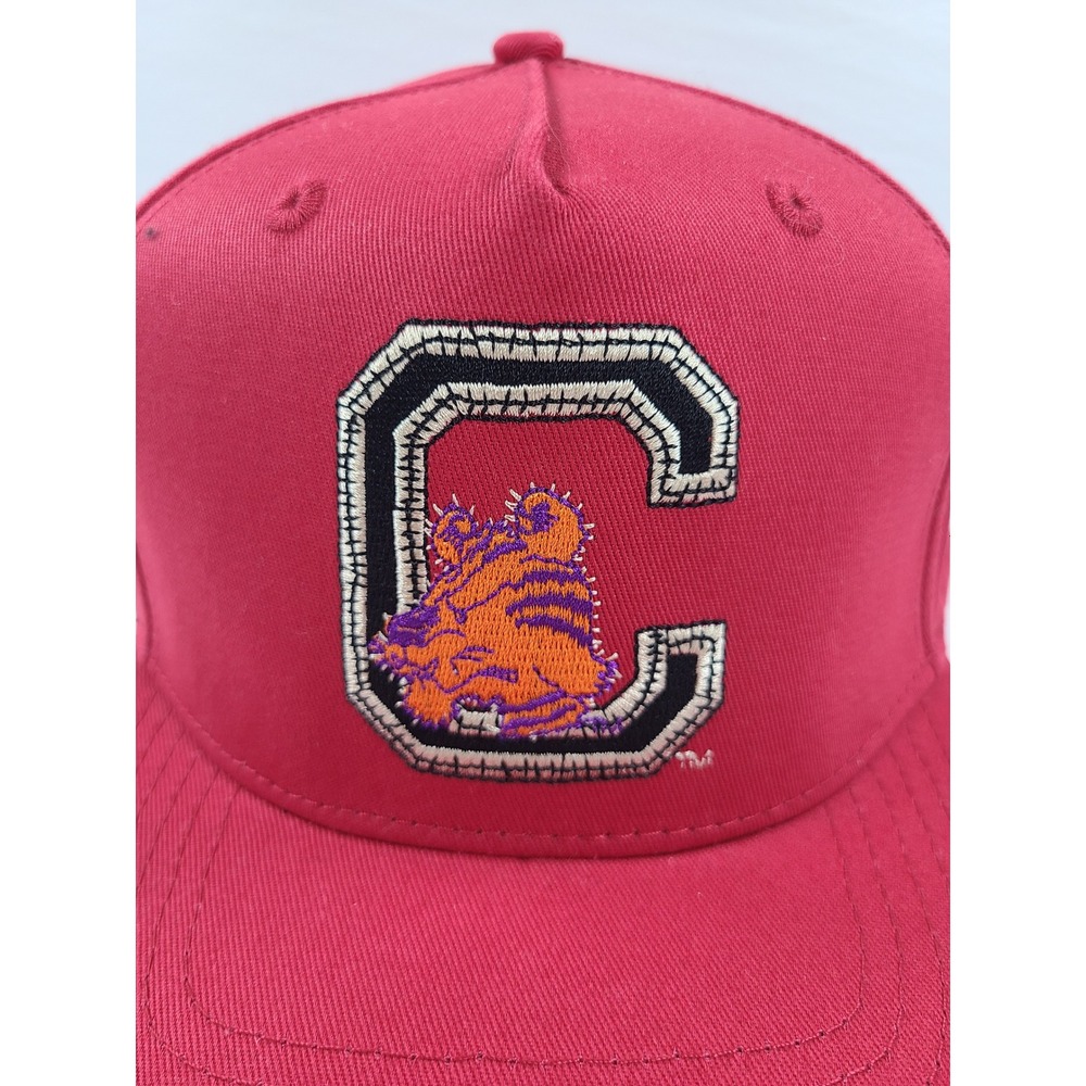 Clemson Tigers Cactus Jack Mitchell & Ness Snapback Hat Travis Scott Collegiate
